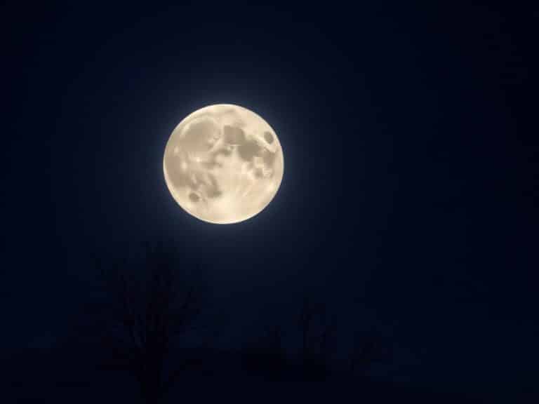 The first meteor shower and supermoon of 2026 will sync up in January skies