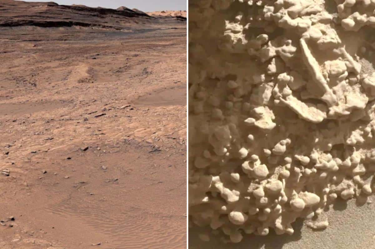 NASA rover spots bizarre Mars ‘spiderwebs’ that could be clue to planet’s presence of water