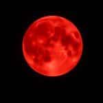 Rare ‘blood moon’ delights 3 billion viewers around the world â€” see the best photos of the total lunar eclipse