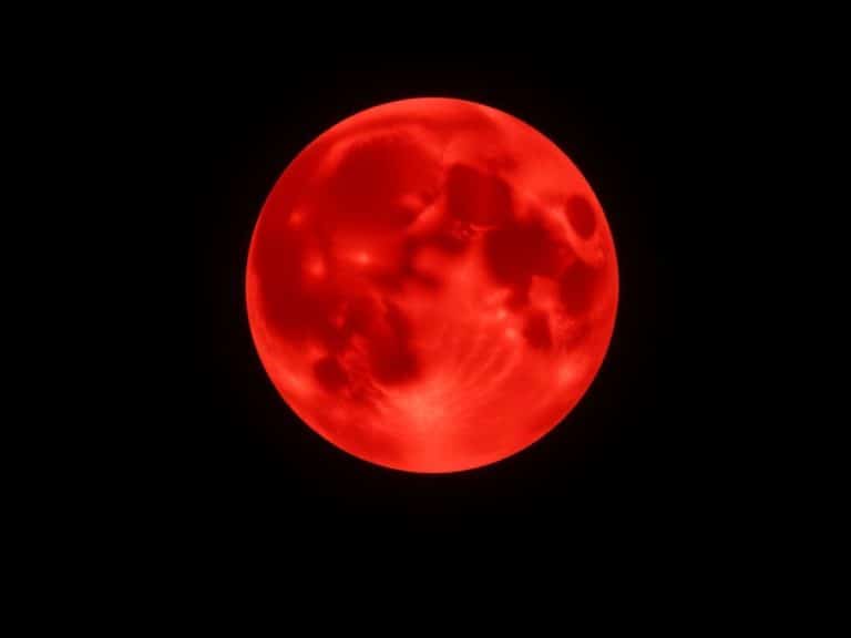 Rare ‘blood moon’ delights 3 billion viewers around the world â€” see the best photos of the total lunar eclipse