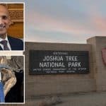 The Left erupts as mining tycoon plans rare earths project 100ft from Joshua Tree desert tortoise habitat