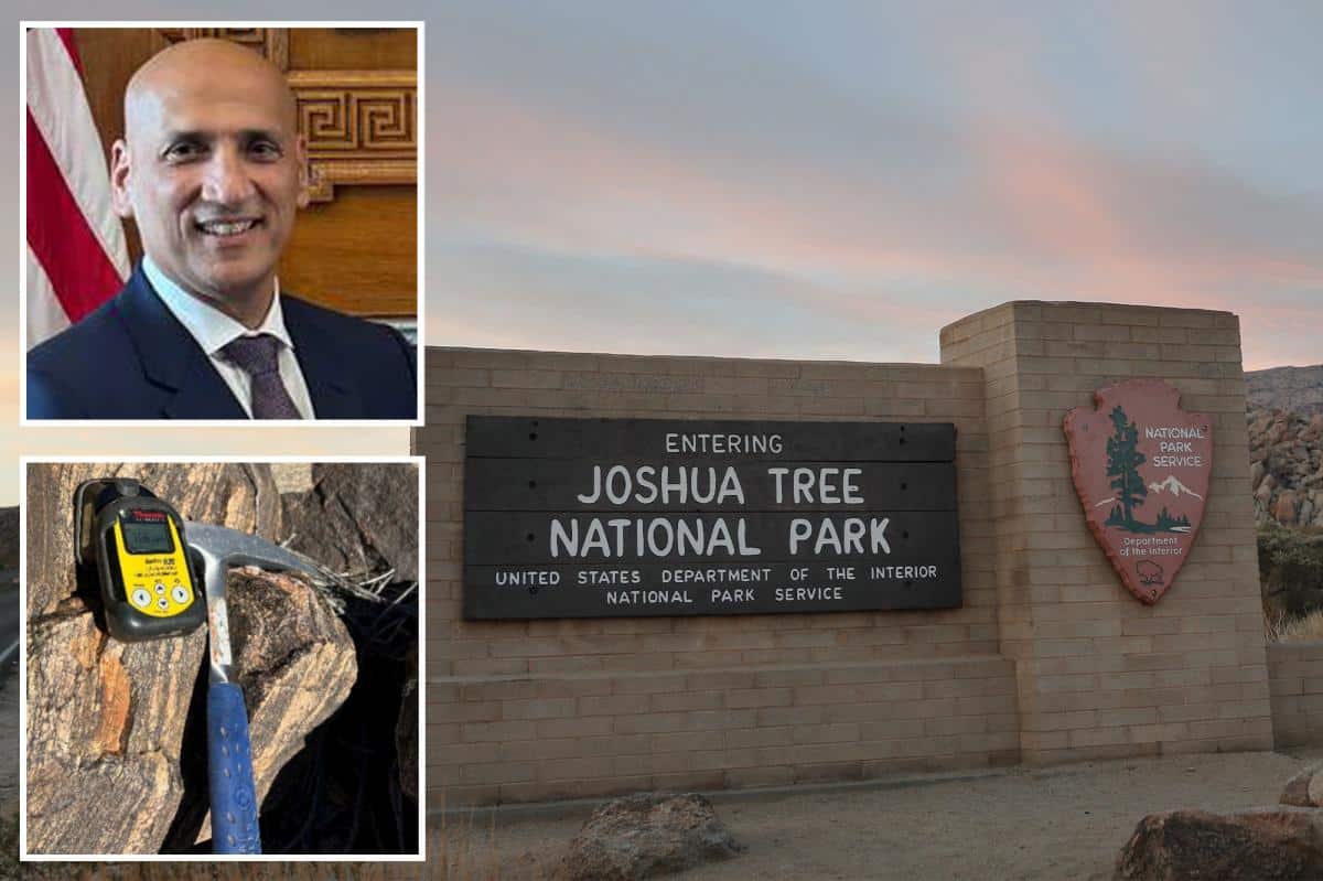The Left erupts as mining tycoon plans rare earths project 100ft from Joshua Tree desert tortoise habitat