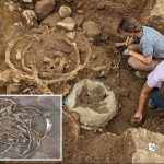 Archaeologists make first-of-its-kind discovery in massive Iron Age treasure trove