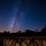 Lyrid meteor shower peaks this week — here’s how and when to watch the skies