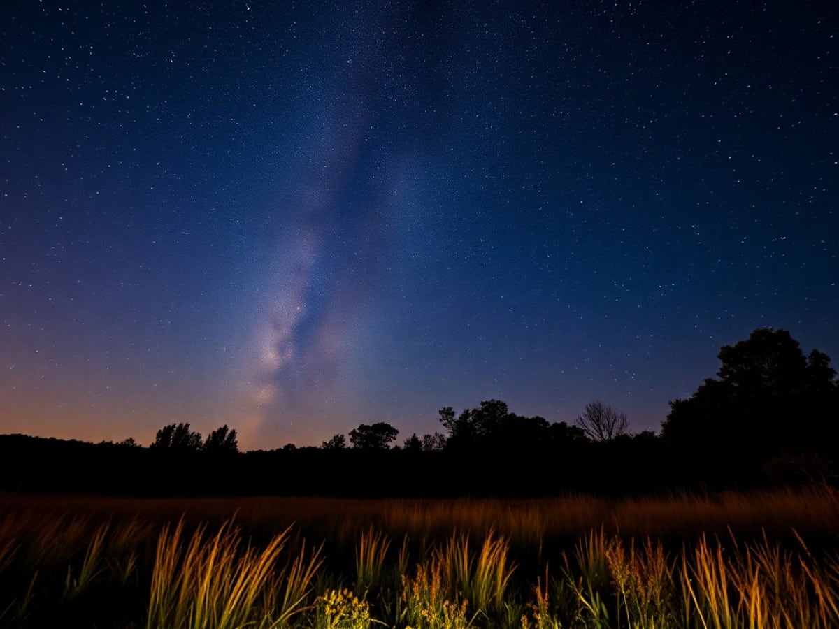 Lyrid meteor shower peaks this week — here’s how and when to watch the skies