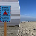 ‘Paradise lost’: Dreaded ‘poo-nami’ from Mexico risks shutting down one of America’s best beaches