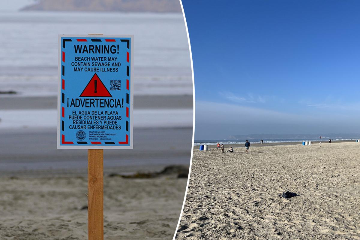 ‘Paradise lost’: Dreaded ‘poo-nami’ from Mexico risks shutting down one of America’s best beaches