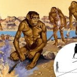 How an ancestral shift to eating more meat changed the course of human history — for the better