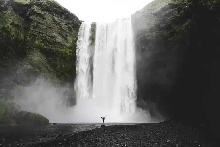 Handen die water in een vrij stromende rivier loslaten, omgeven door inheemse planten