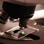 Laboratoriumbank met petrischalen, pipet en microscoop in helder licht