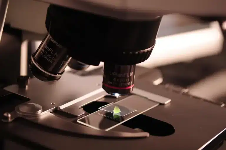 Laboratoriumbank met petrischalen, pipet en microscoop in helder licht