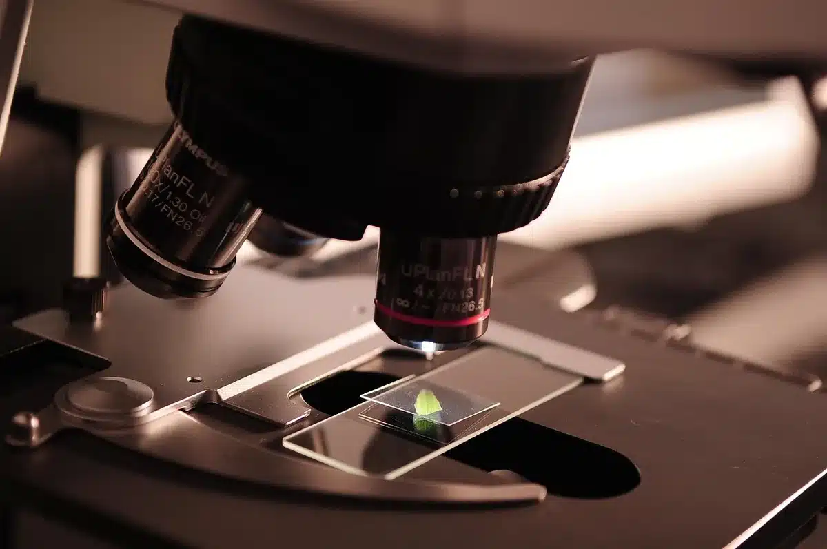 Laboratoriumbank met petrischalen, pipet en microscoop in helder licht