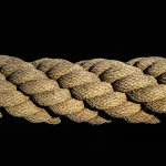 Silhouet wijst naar DNA-streng naast longscan en onderzoeksrapport