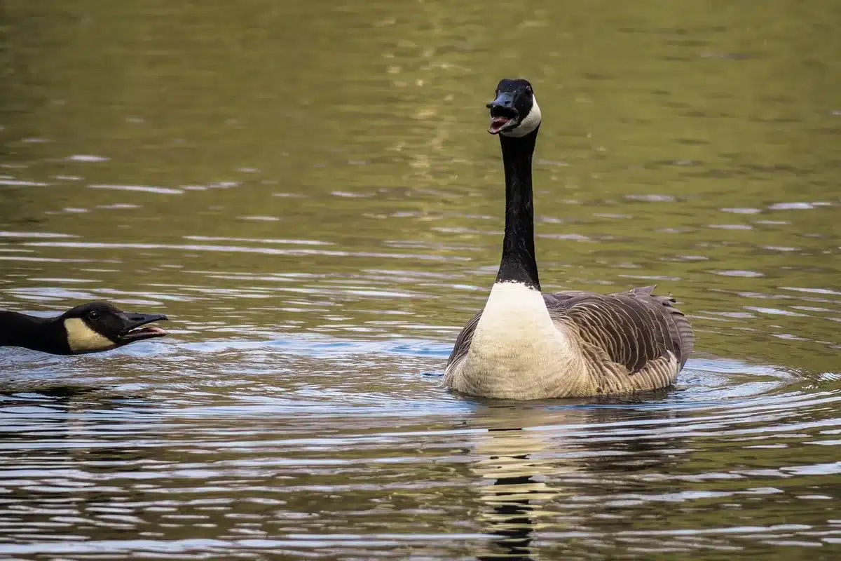 Beleggers op handelsvloer met bezorgde houdingen